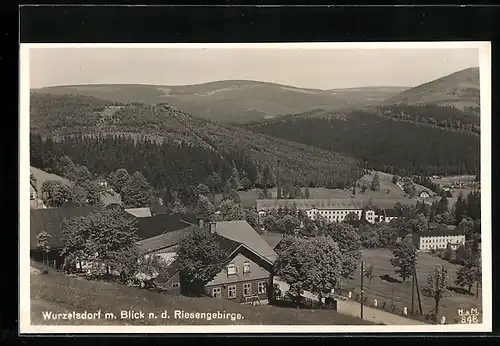 AK Wurzelsdorf, Gesamtansicht