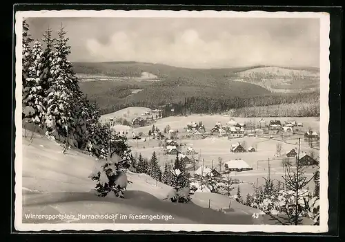 AK Harrachsdorf i. Riesengebirge, Ortsansicht im Schnee