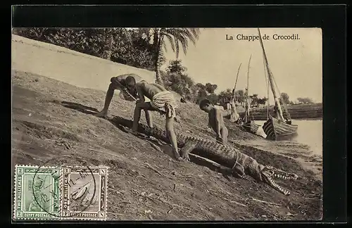 AK Port Said-D. J. L., La Chappe de Crocodil, Krokodiljagd