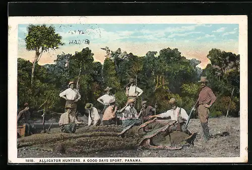 AK Panama, Alligator Hunters, Jäger mit erlegten Krokodilen am Ufer