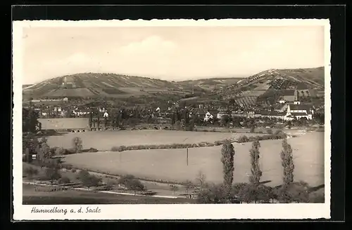 AK Hammelburg a. d. Saale, Panorama