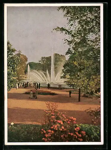 AK Hamburg, Gartenbau-Ausstellung 1953, Rosenhof mit Wasserspiel