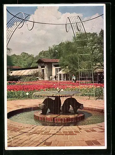 AK Hamburg, Internationale Gartenbau-Ausstellung 1953, Brunnen bei den Kakteenhäusern