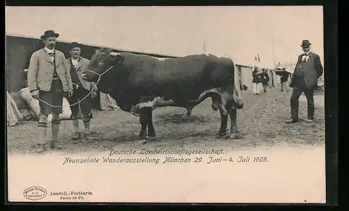 AK München, Deutsche Landwirtschaftsgesellschaft, 19. Wanderausstellung 1905
