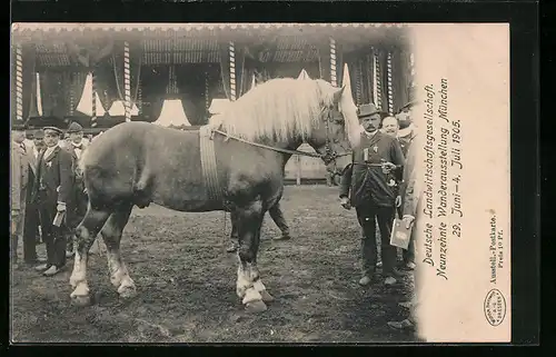 AK München, deutsche Landwirtschaftsgesellschaft, 19. Wanderausstellung 1905