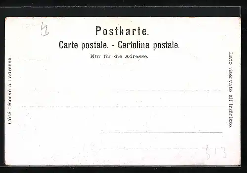 AK Vevey, Exposition 1901, Totale mit Mont Pélerin, Ausstellung