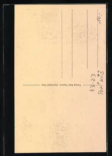 AK Nest, Stadttyp, Hiesiger Fischer