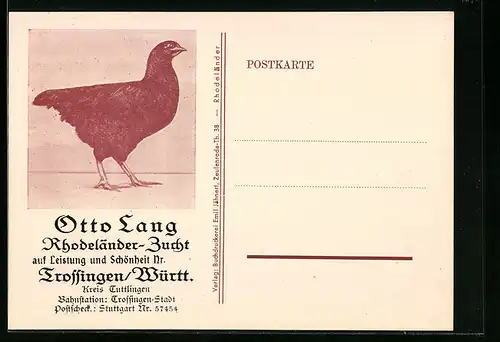 AK Huhn der Rhodeländer Zucht des Züchters Otto Lang aus Trossingen