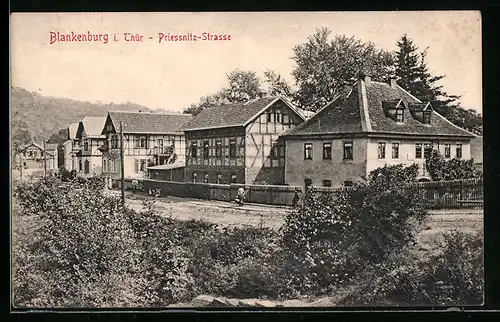 AK Blankenburg i. Thür., Priessnitz-Strasse mit Passanten