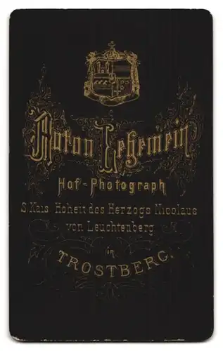 Fotografie Anton Lehemein, Trostberg, Junger Herr im Anzug mit Fliege