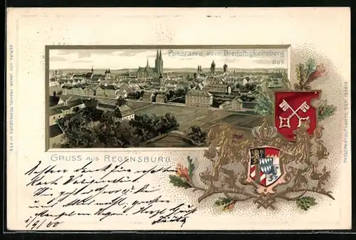 Passepartout-Lithographie Regensburg, Panorama vom Dreifaltigkeitsberg aus