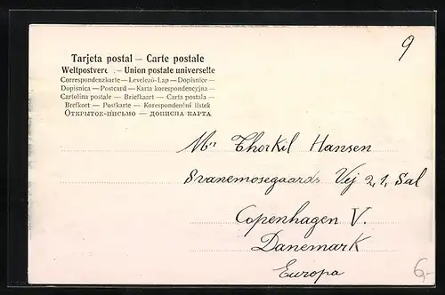 AK Montevideo, Vista General