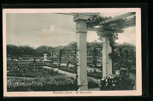AK Buenos Aires, El Rosedal