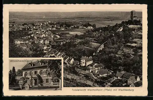 AK Wachenheim i. Pfalz, Winzervereinigung, Wachtenburg