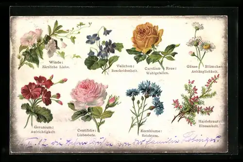 AK Blumen und ihre Bedeutungen, Blumentag