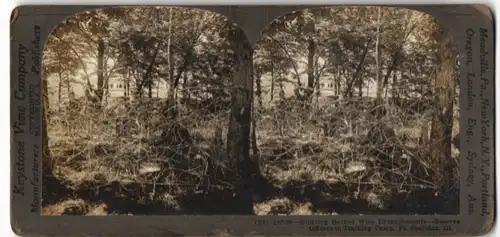 Stereo-Fotografie Keystone View Co., Meadville / PA., Building Barbed Wire entangle Ments, Training Camp, Fort Sheridan