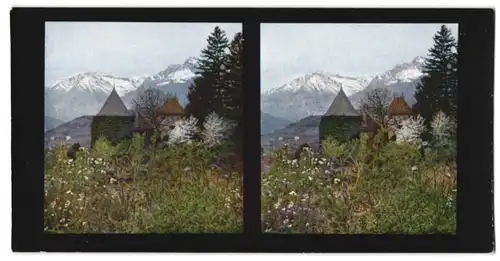 Stereo-Fotografie Chromoplast-Bild Nr. 81, Ansicht Meran, das Schloss Planta oder Greifen