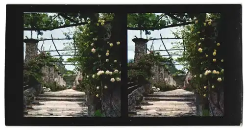 Stereo-Fotografie Chromoplast-Bild Nr. 64, Ansicht Ravello, im Sarrazenen-Garten des Palazzo Rufolo