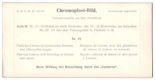 Stereo-Fotografie Chromoplast-Bild Nr. 18, Ansicht Limone, terrassierte Zitronen und olivenpflanzungen