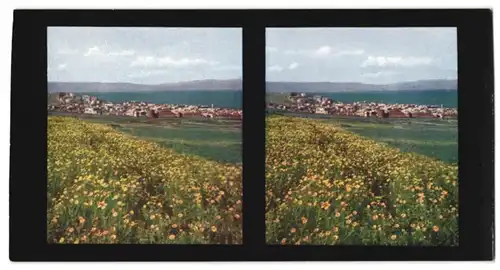 Stereo-Fotografie Chromoplast-Bild Nr. 178, Ansicht Tiberias, Blick nach der Stadt am See Genezareth