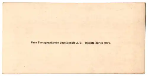 Stereo-Fotografie NPG, Berlin, Ansicht Elmau, Blick in den Ort mit Bergpanorama