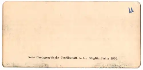 Stereo-Fotografie NPG, Berlin, Ansicht Herrenchiemsee, die grosse Treppe im Schloss Herrenchiemsee