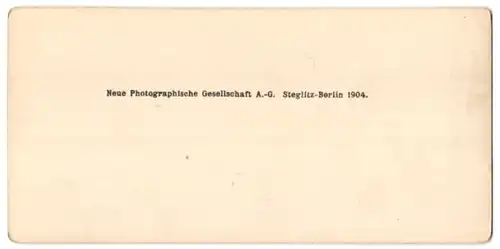 Stereo-Fotografie NPG, Berlin, Ansicht Wien, Blick auf die Griechische Kirche