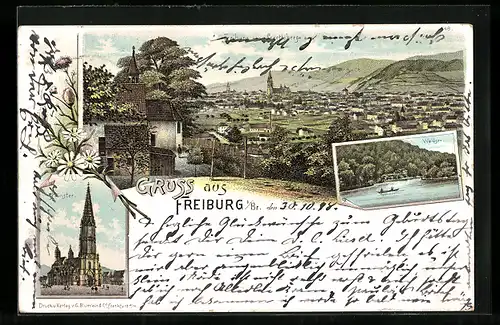Lithographie Freiburg, Totalansicht, Münster, Waldsee