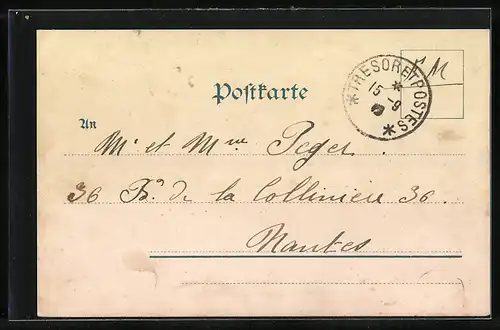 Lithographie Wiesbaden, Ortsansicht aus der Vogelschau