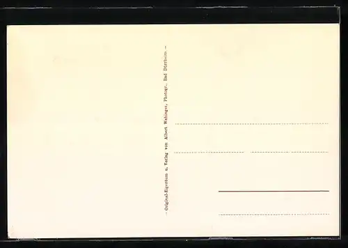 AK Bad Dürrheim, Kinder Solbad, Bahnhof, Kurhaus, Borhaus, Schulhaus