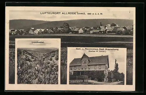 AK Allrode / Harz, Pension und Gasthaus Stadt Braunschweig, Luppbodetal