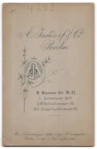 Fotografie A. Jandorf & Co., Berlin, Brunnen-Str. 19-21, Junge Dame im weissen Kleid