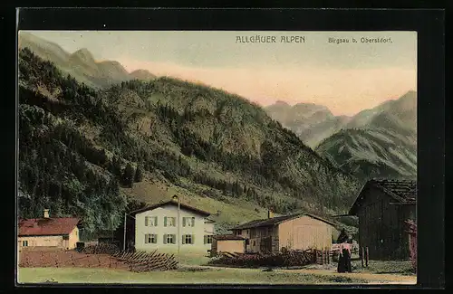 AK Birgsau b. Oberstdorf, Blick auf ein Gehöft