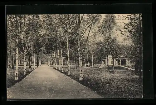 AK Bad Sulza, Kurpark mit Trinkhalle