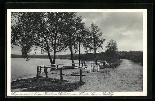 AK Plau am See /Mecklbg., Kurhaus Seelust am Plauer See, Strandpromenade