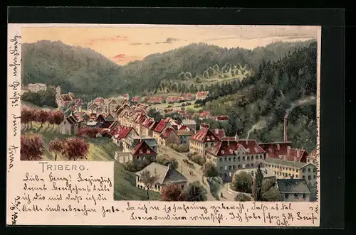 Lithographie Triberg, Ortsansicht mit Umgebung aus der Vogelschau