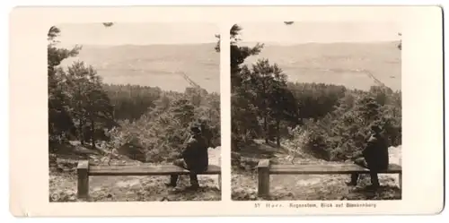 Stereo-Fotografie NPG, Berlin, Ansicht Bad Blankenburg, Herr schaut vom Regenstein auf die Stadt