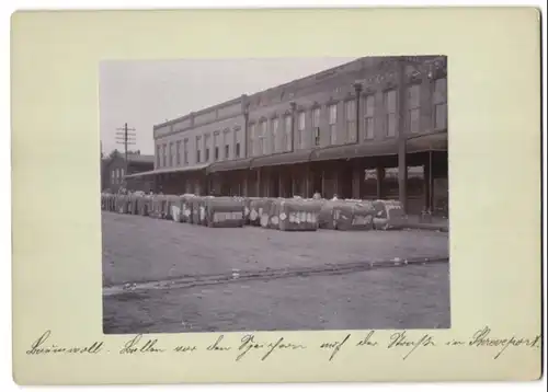 Fotoalbum mit 15 Fotografien und Reisetagebuch, Ansicht Shreveport / Louisiana, Deutscher F. Richter in Amerika