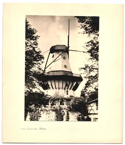 Fotoalbum mit 12 Fotografien, Ansicht Potsdam, Fotograf E. Trepte, Windmühle, Garnisonskirche, Cecilienhof, Nauener Tor