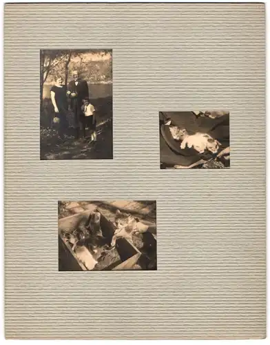 Fotoalbum mit 40 Fotografien eines Amateur Fotografen, Hildburghausen 1934, sachliche Fotografie, Interieur, Kirche
