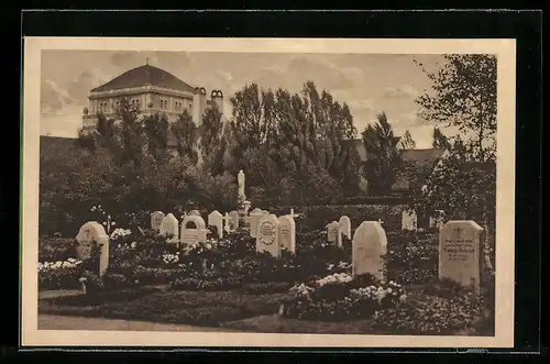 AK Halle /Saale, Gertraudenfriedhof, Gräberfeld