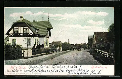 AK Cadenberge, Strassenpartie mit Villa Fick