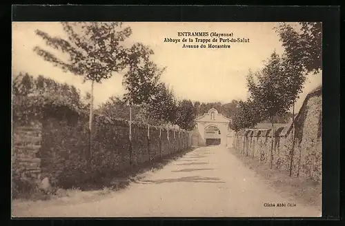 AK Entrammes, Abbaye de la Trappe de Port-du-Salut, Avenue du Monastère