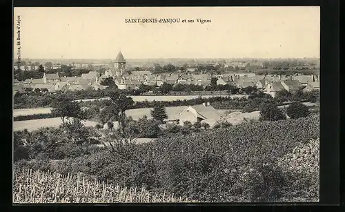 AK Saint-Denis-d`Anjou, Panorama et ses Vignes