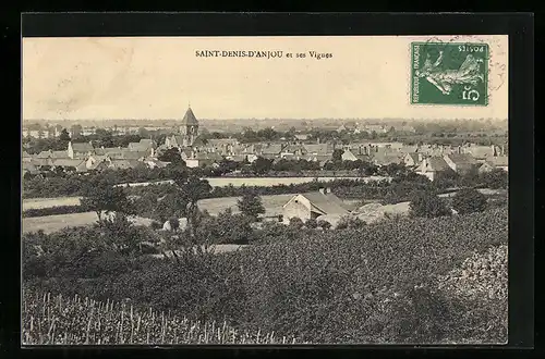AK Saint-Denis-D`Anjou, Panorama et ses Vignes