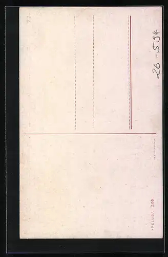 Künstler-AK Ermenegildo Carlo Donadini: Zebra