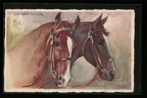 Künstler-AK Tito Corbella: Zwei edle Pferdeköpfe