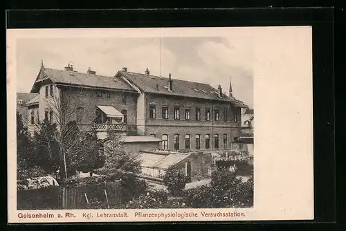 AK Geisenheim a. Rh., Kgl. Lehranstalt, Pflanzenphysiologische Versuchsstation