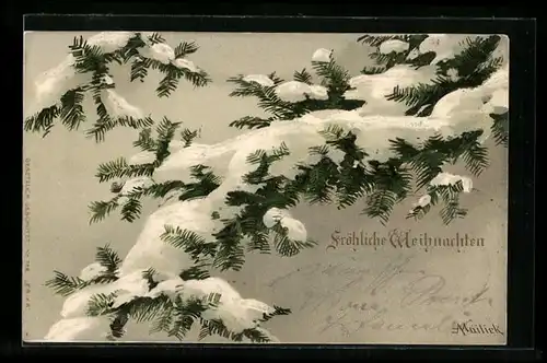 Künstler-AK Alfred Mailick: Schneebedeckter Tannenzweig, Fröhliche Weihnachten