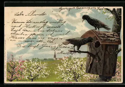 Künstler-AK Alfred Mailick: Vögel am Vogelhaus zwischen blühenden Bäumen
